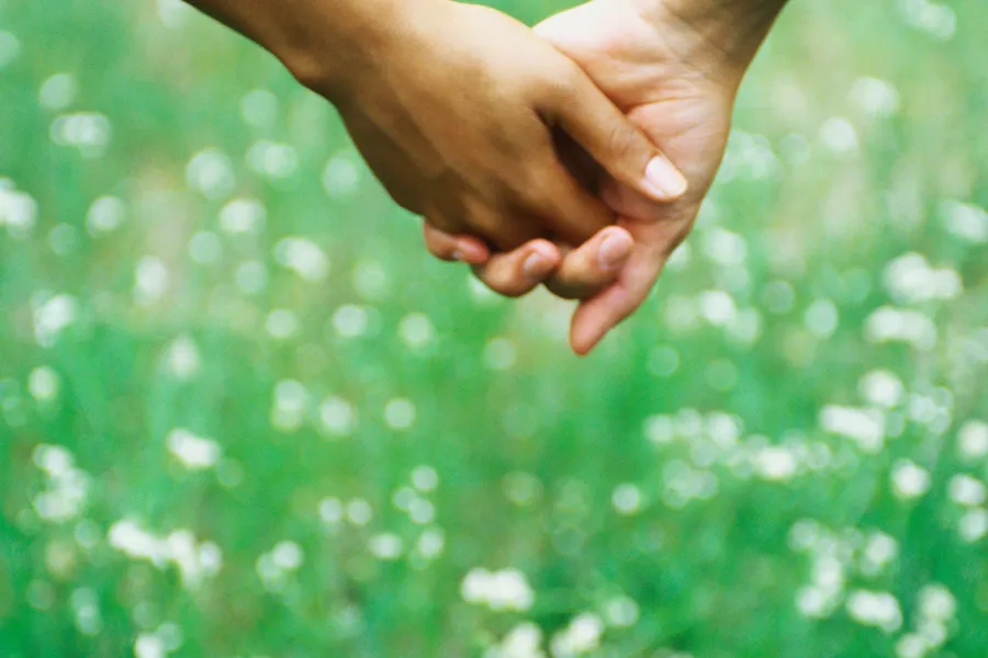 Illustrasjonsbilde, hånd i hånd med blomstereng i bakgrunnen